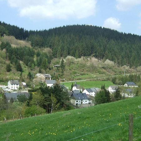 Beautiful Apartment In Merschbach With Garden Екстериор снимка